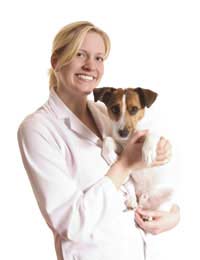 How To Become A Vet’s Assistant How To